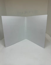 Load image into Gallery viewer, Pokémon Black Series Nintendo DS Reproduction Case